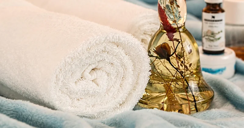 Combien coûte vraiment une nuit en mobil-home avec spa privatif ?