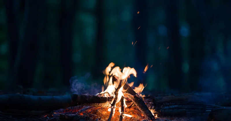 Allumer un feu sans se mettre en danger : bois, matériaux, méthode